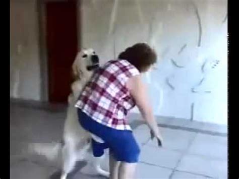 rabuda que fode|Foi dar pro cachorro pra ver como era entrou até o nó.